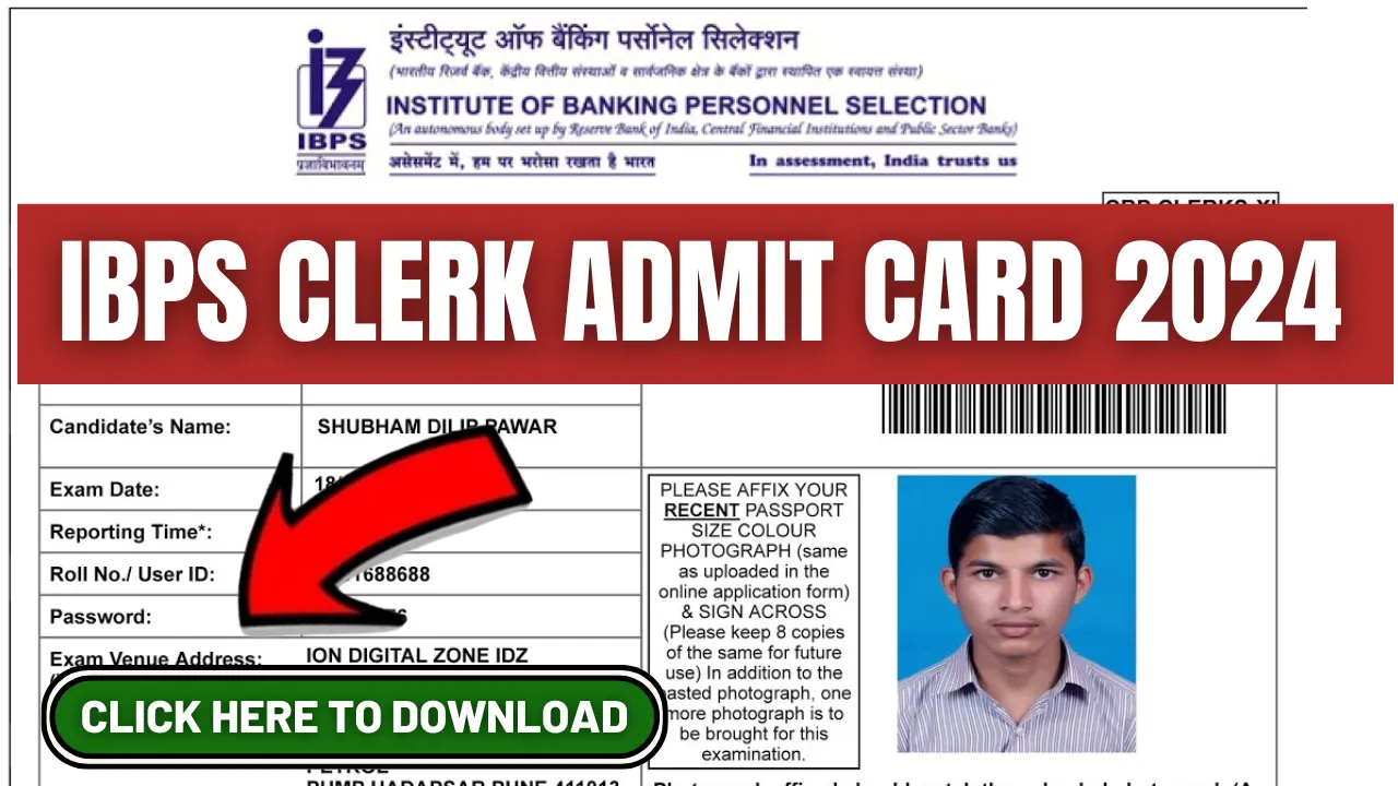 IBPS Clerk Admit Card 2024